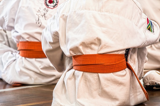 karate-1665606_640